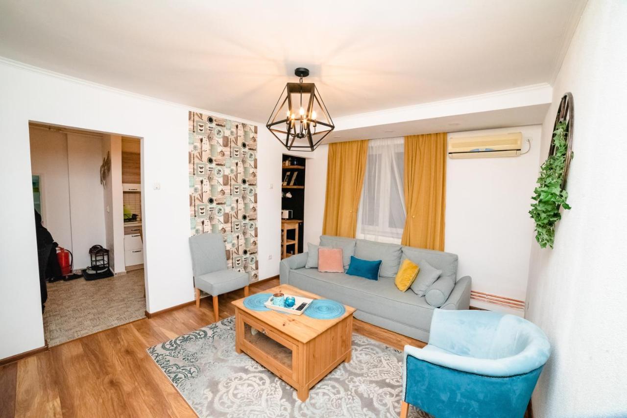 Blue Apartment 티미쇼아라 외부 사진