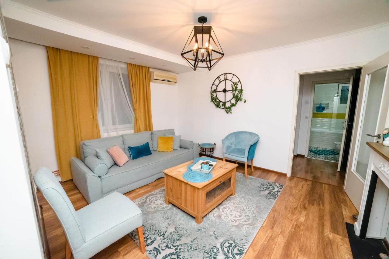 Blue Apartment 티미쇼아라 외부 사진